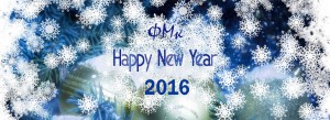 FMk New Year Slide 2016